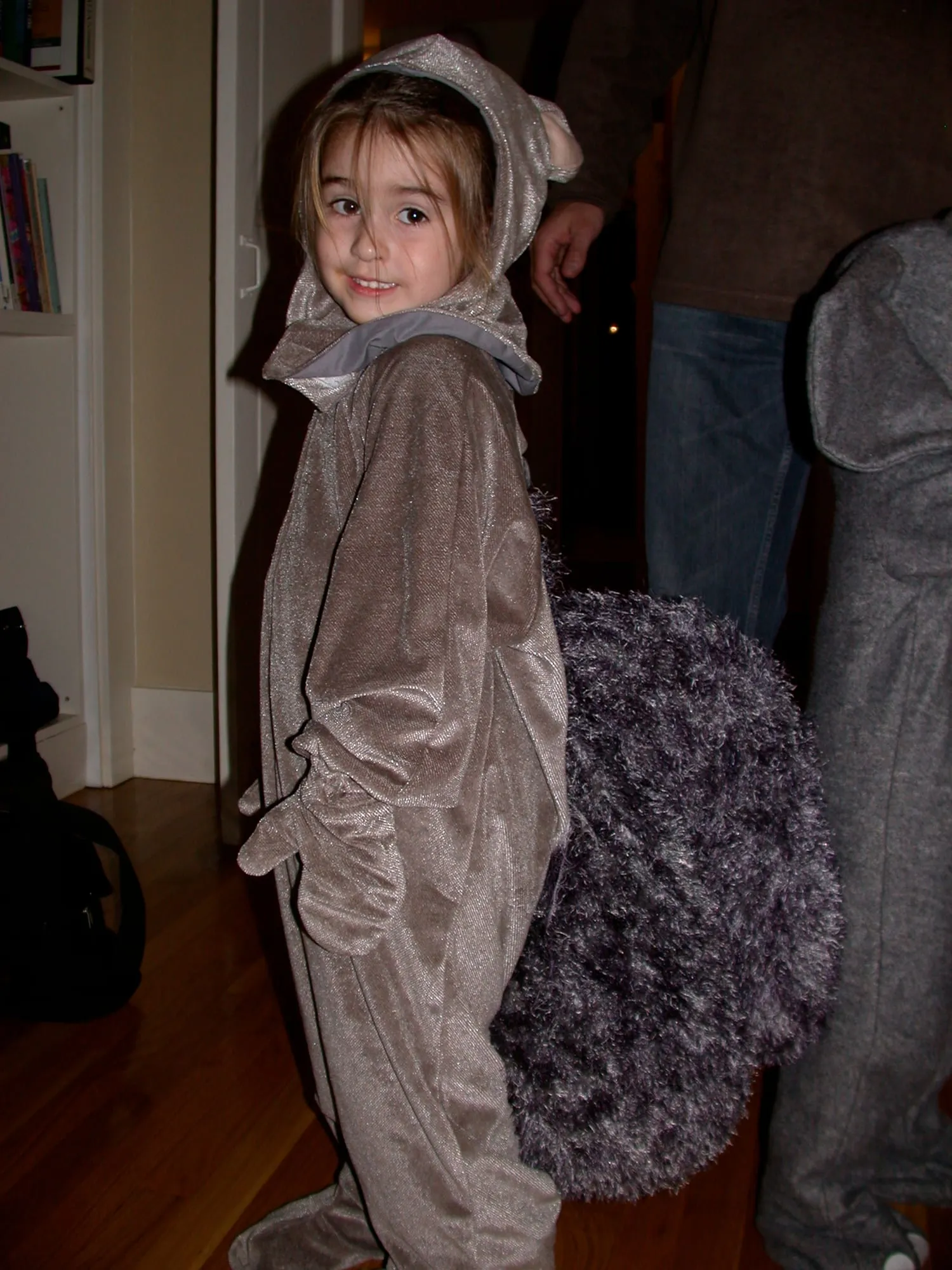A child in a gray squirrel costume, a hooded one-piece with small round ears and a large knitted tail.